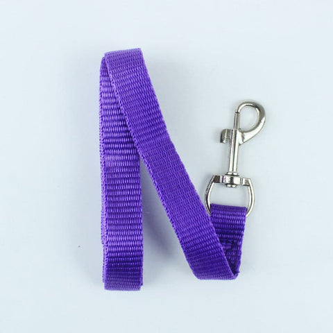 Durable Nylon Dog Leash For Small Dogs