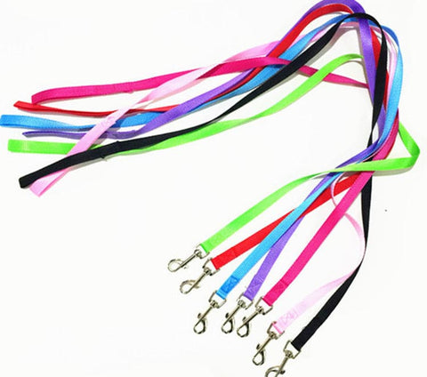 Durable Nylon Dog Leash For Small Dogs