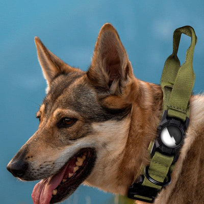 AirTag Protective Dog Collar Locator::FREE SHIPPING!!